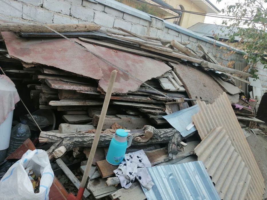 Daxta eski yogʻochlar