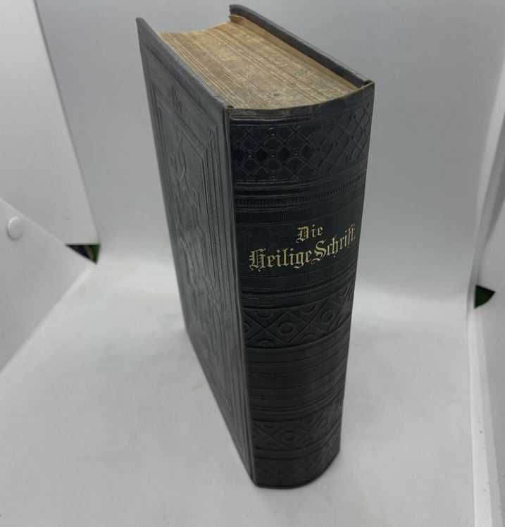 Biblia / Biblie veche , 1894 , limba germana , 21x14x5 cm , crestinism