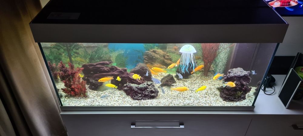 Acvariu Juwel Rio 180L