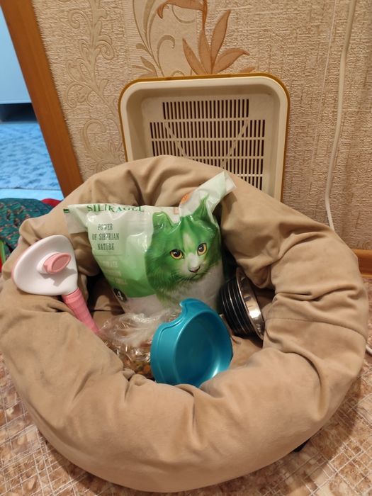 Продам для кошек товары