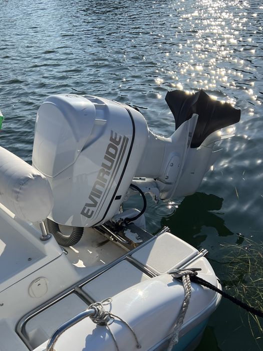 Evinrude Ram Ficht 90 HP 2002г.