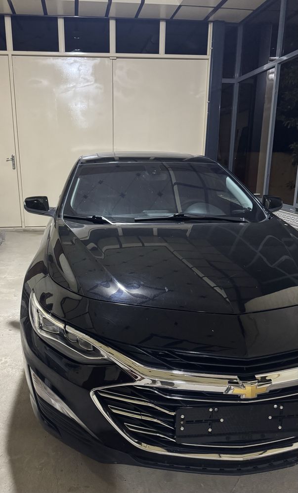 Malibu 2 primier