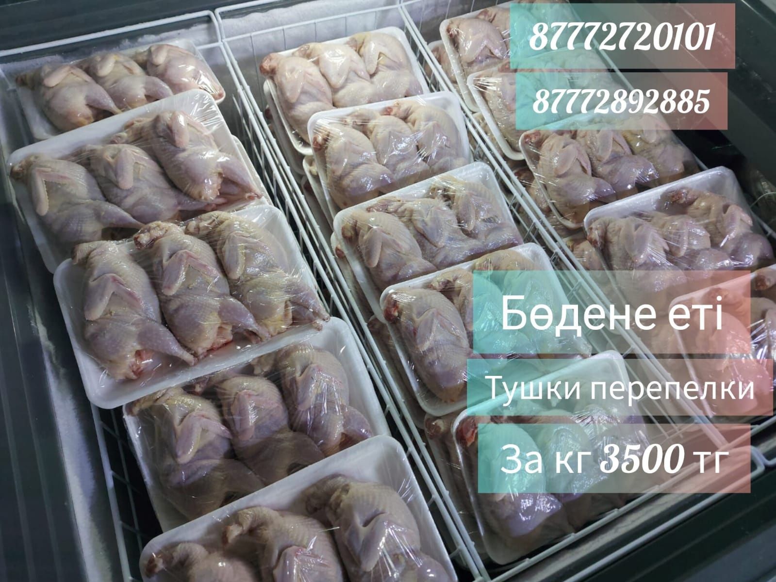 Мясо перепелки тушки перпелиные бөдене еті яйцо