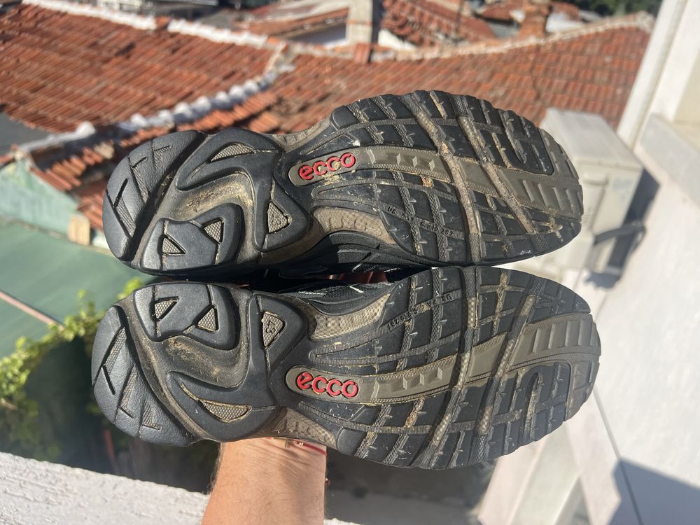 Ecco Receptor 43
