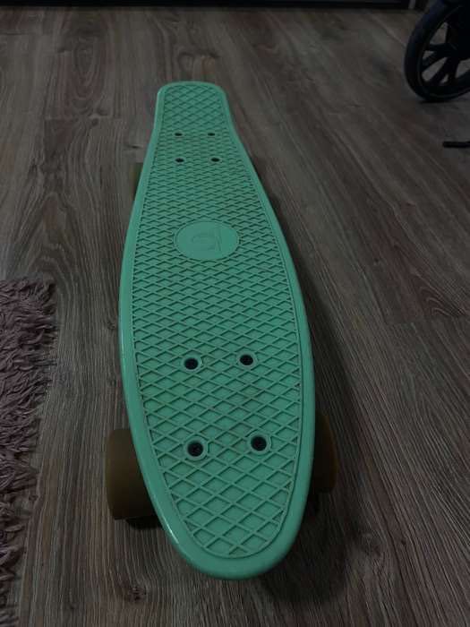 Penny board vinyl mint