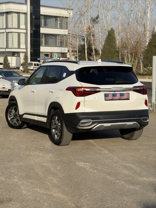 kia seltos kraska toza