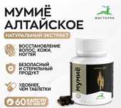 Мумиё Алтайское Вистерра экстракт, 500 мг, 60 капсул