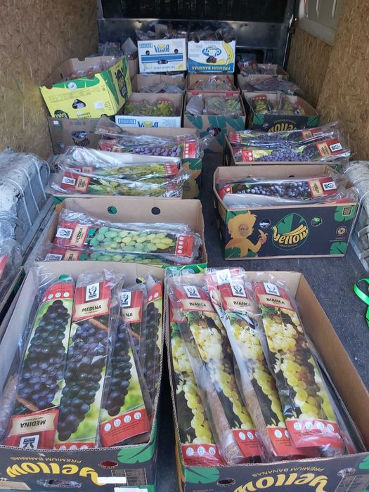 butasi de fructe de padure ambalati si etichetati