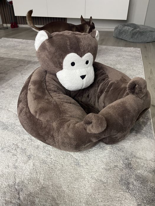 Бебешки барбарон