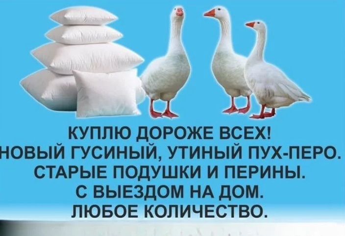 Закупаем пух перо
