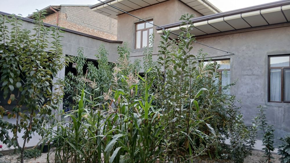 Toshkent Tumani Kles Abdurahmonovda uy sotkadi