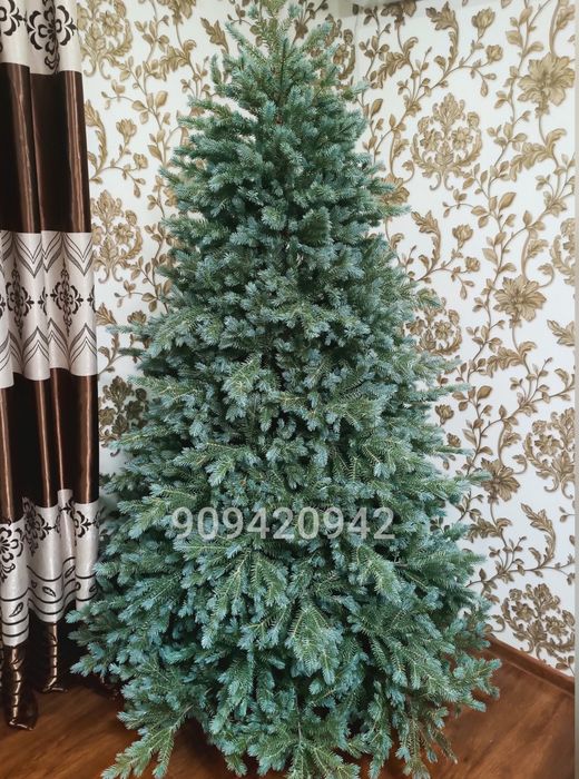 Ёлка люкс. Голубая ель.  Импорт для Европы.  Бесплатная доставка.