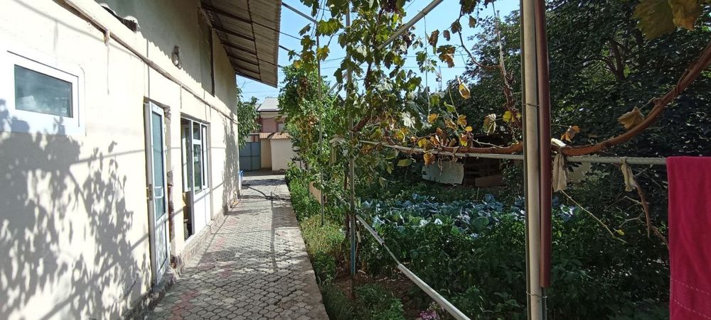 Участок олмос Яккатол 5.35 соток