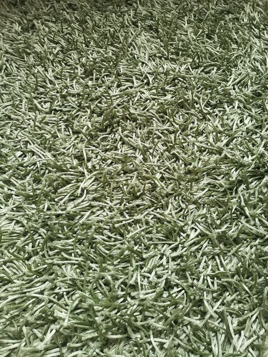 Vand covor nou, fir lung, culoarea verde olive, fabricat in India