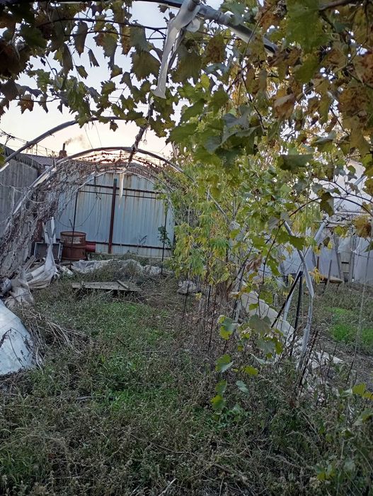 Se vinde solar pentru legume sau flori. 175 /arcada