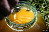 Продам натуральный, настоящий мёд, прополис