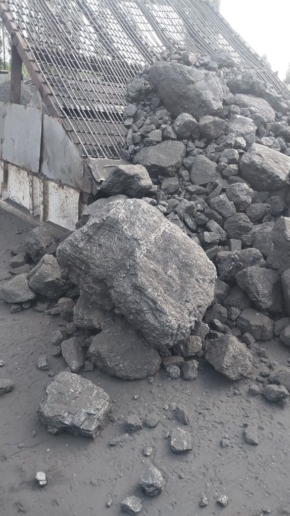 Киргиз Комир с гарантийм