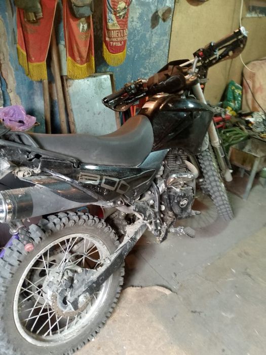 Rасеr pantera 300