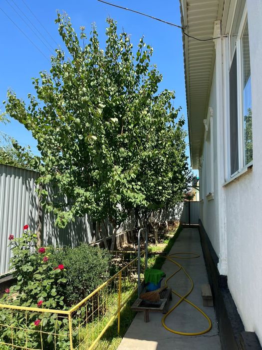 Продам дом со двором