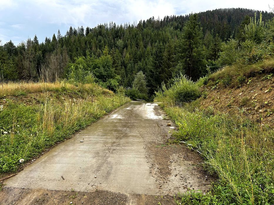 Teren intravilan cu peisaj suberb | 5311 MP | Sucevita | Bucovina