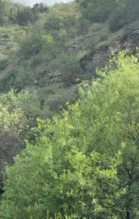 Qulay joydan ajoyib DARCHA  uchun yer sotiladi srochni