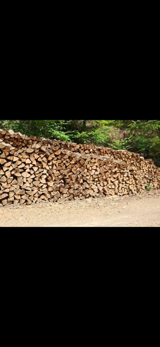 Vând cherestea rășinoase