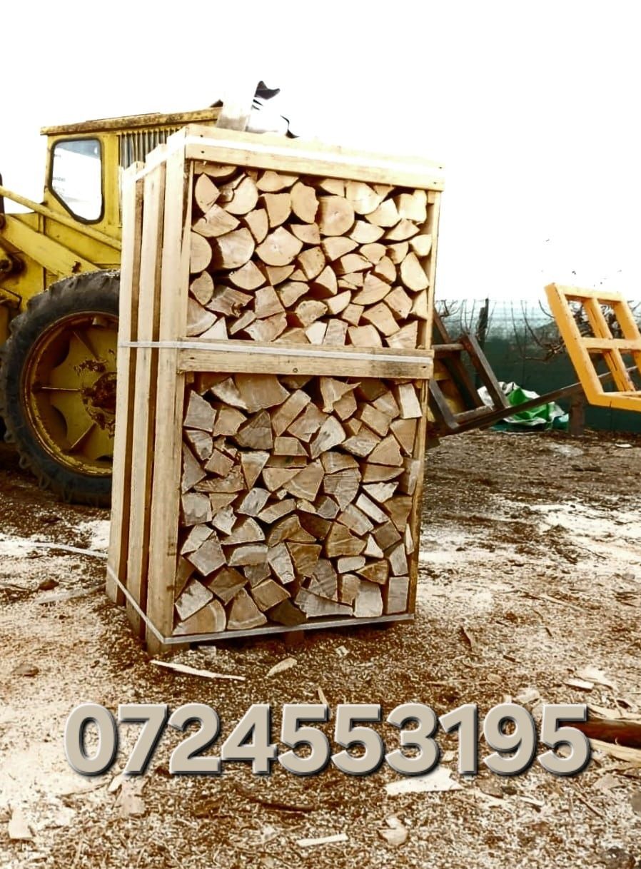 Lemne de foc fag