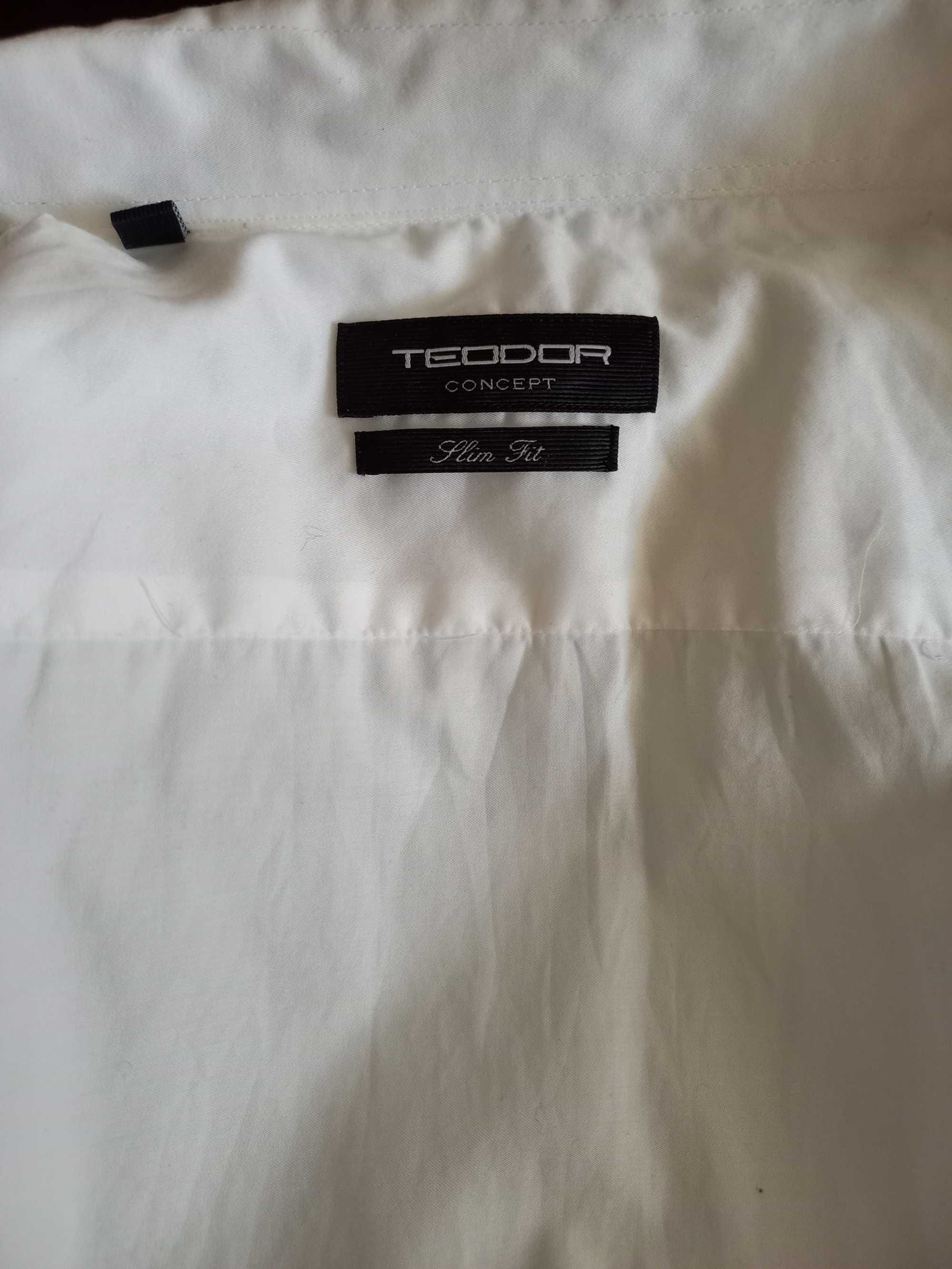 Мъжка риза - Teodor