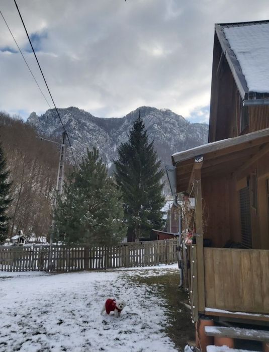Cabană Cheile Intregalde 62500euro