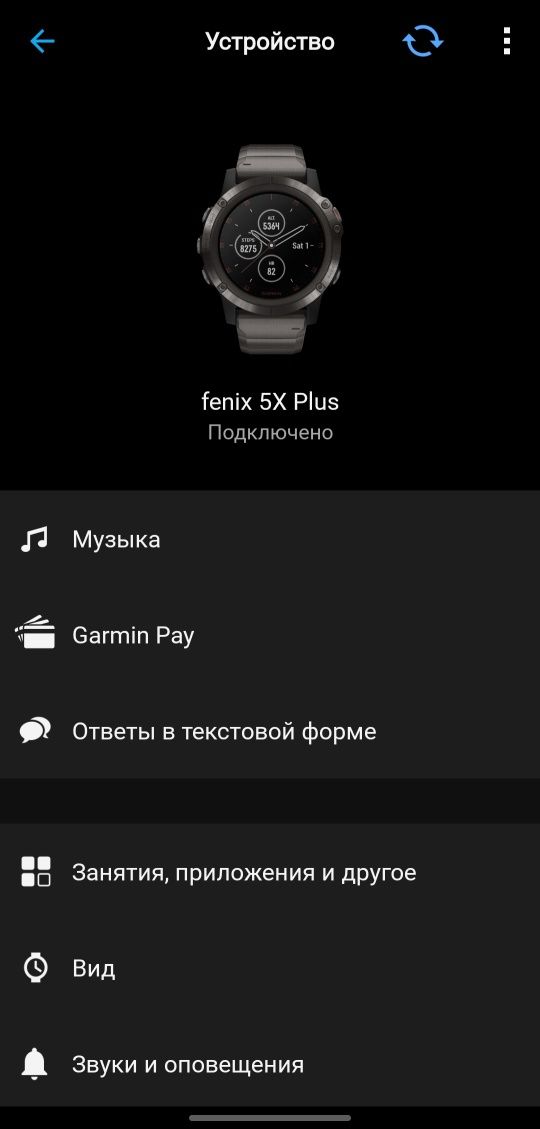 GARMIN Fenix 5X Plus