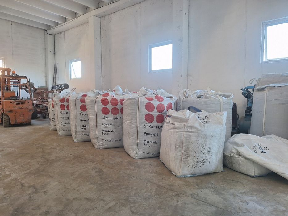 Vindem floare soarelui