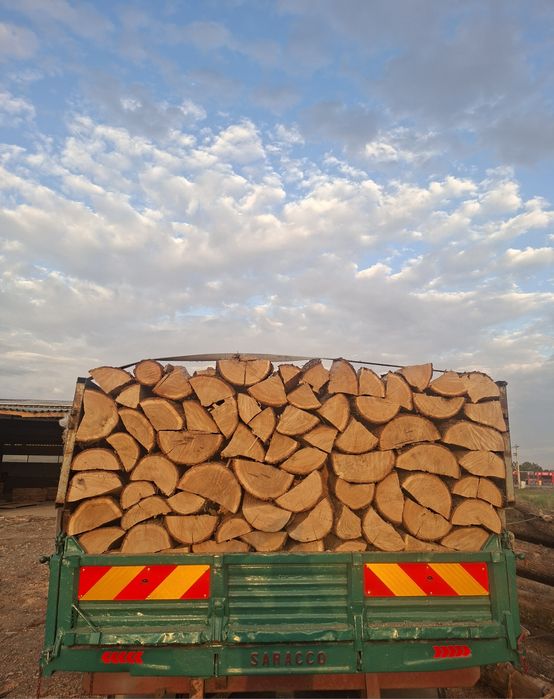 Vand lemne uscate si verzi 0️⃣7️⃣7️⃣3️⃣3️⃣2️⃣3️⃣9️⃣1️⃣7️⃣