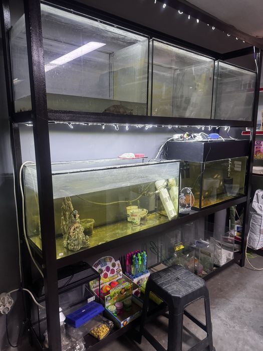 Стойка из уголка с аквариумами 1см стенка