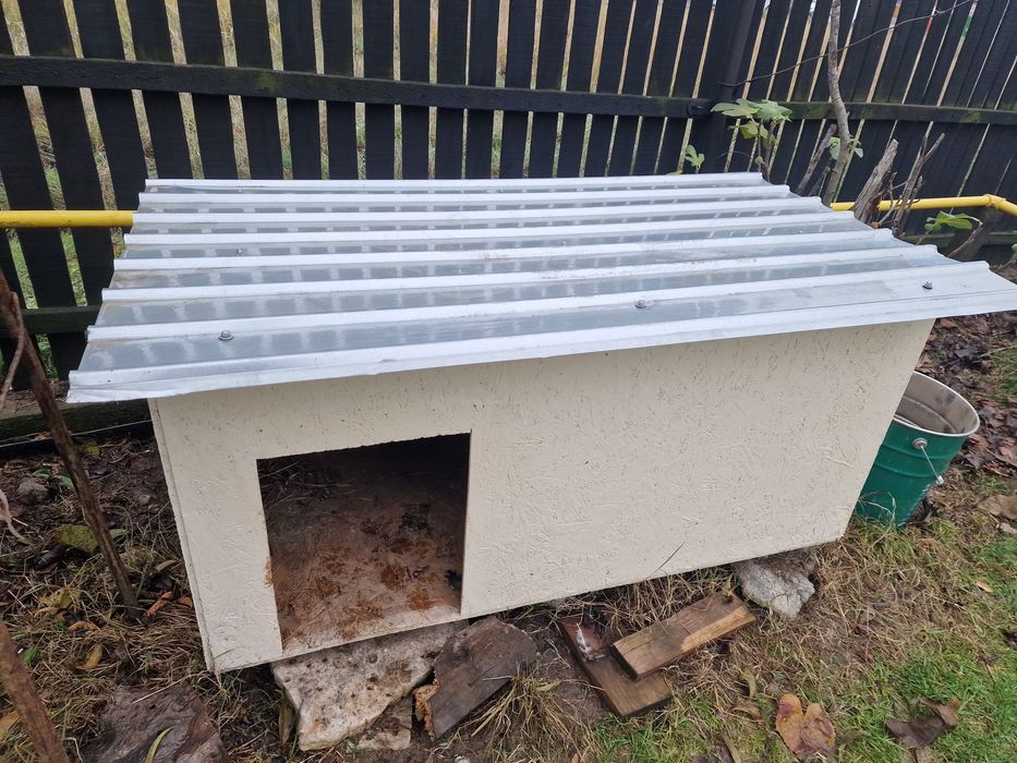 Cotet / Casa Mare pentru caine / Caini