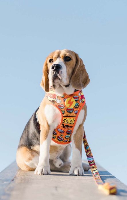 Нагръдник за куче Dashi