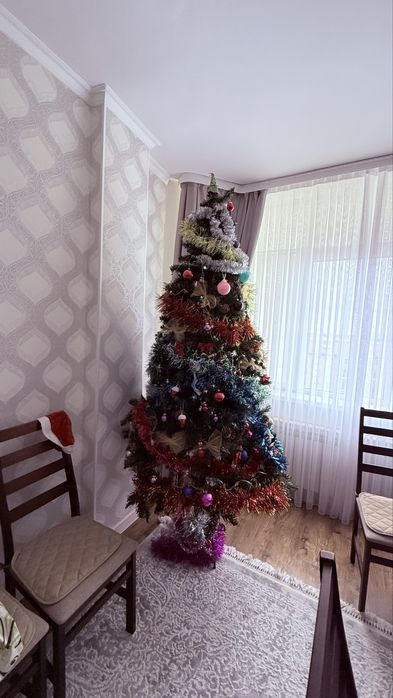 Елка с шишками на новый год, в хорошем состоянии