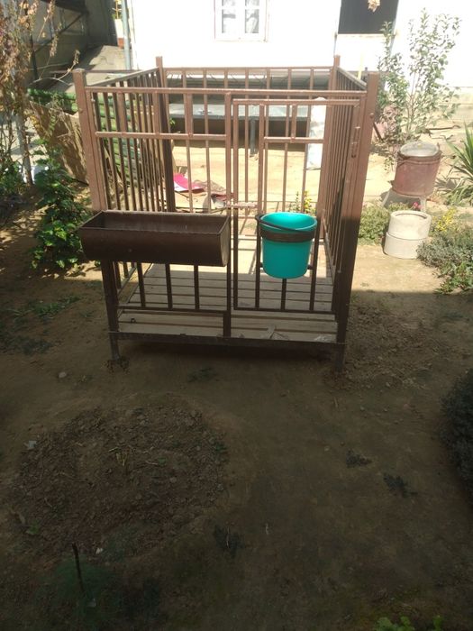 Qoyxona,qiyoyga hona yasasb tayyor qoy katagi