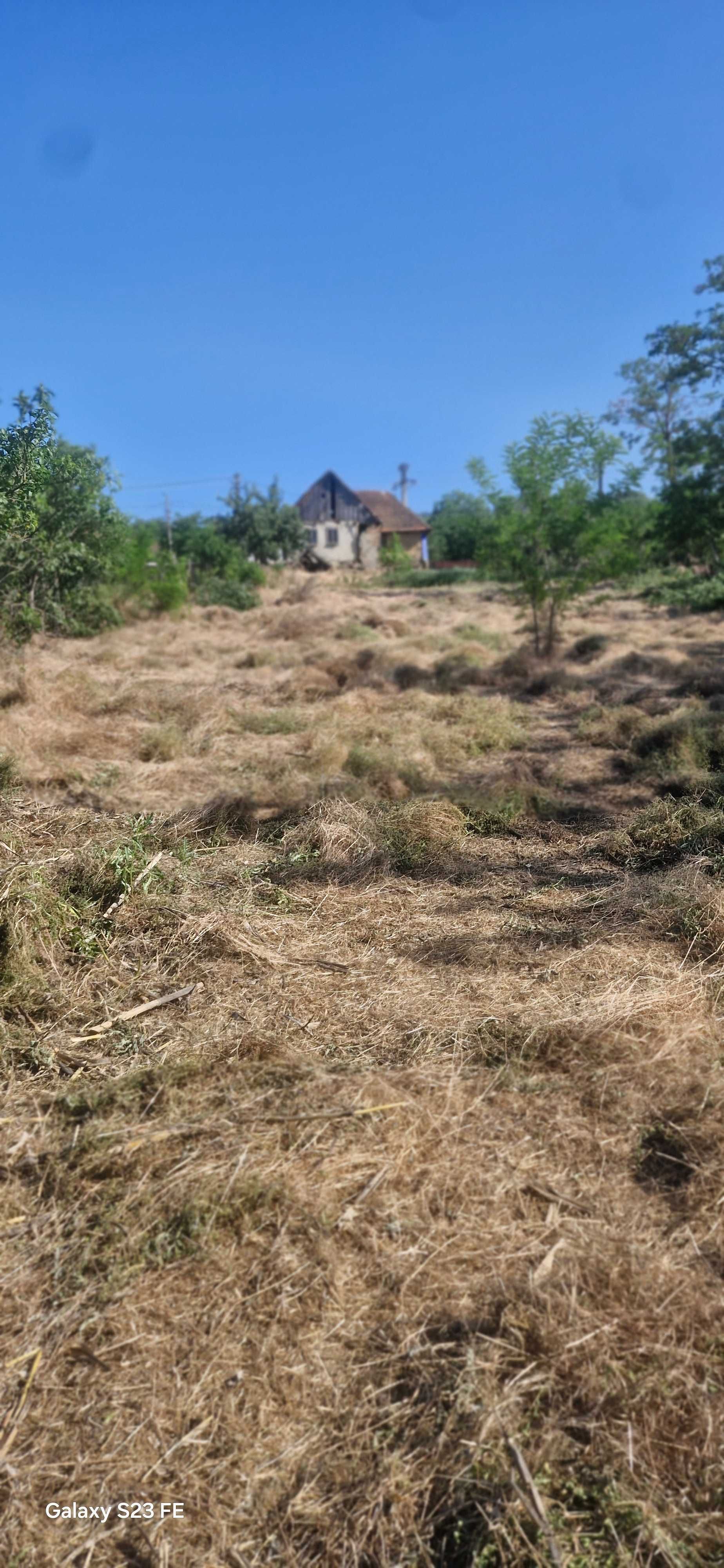 Teren pentru casă și grădină
