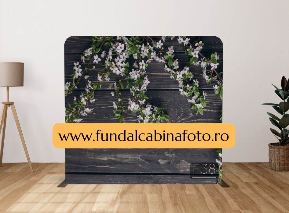 Panza Fundal Foto Fundal Cabina Foto Fundal Oglinda Foto