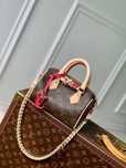 Geanta Louis Vuitton 18