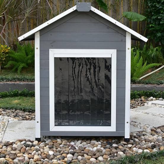 Cusca caini diverse modele