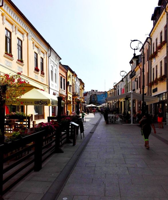 Afacere la cheie Restaurant zonă centrală