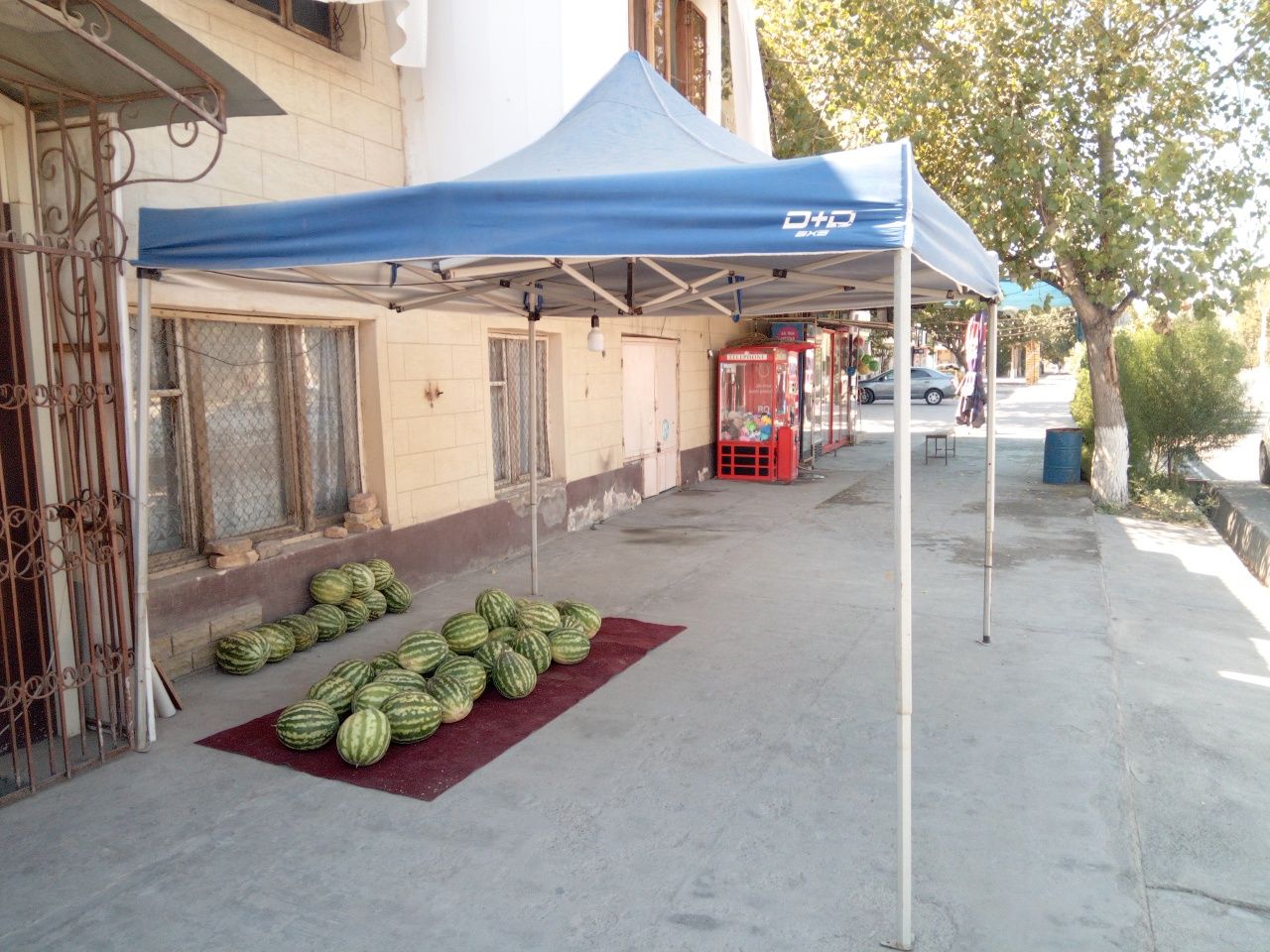 Naves zontik sotiladi arzon