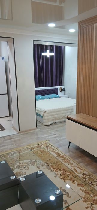 Ц 6 Метро Минор 1/2/4 евро с мебелью техникой Центр