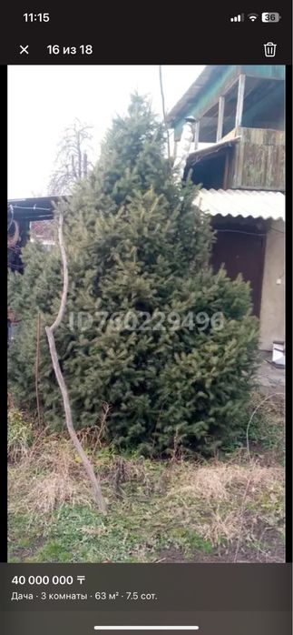 Продам дачу в Наурызбайском районе