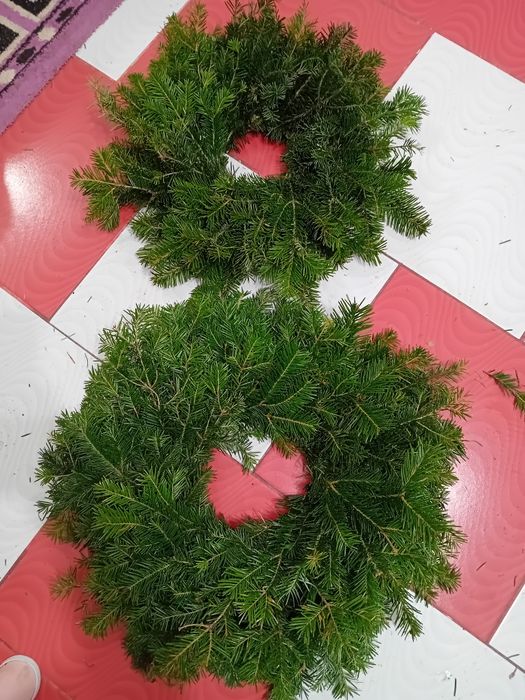 Coronite brad natural