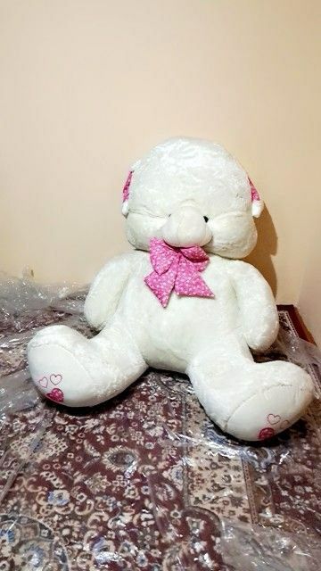 Kattakon momiqqina ayiq