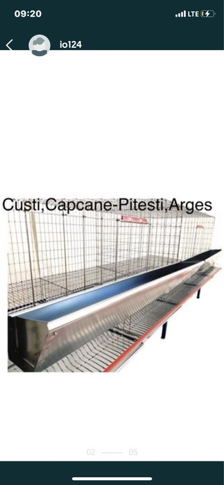 Prepelite pui oua Custi capcane