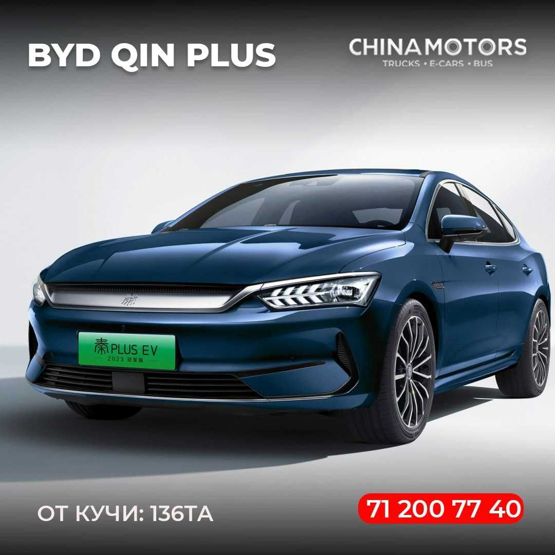 BYD QIN PLUS чемпион