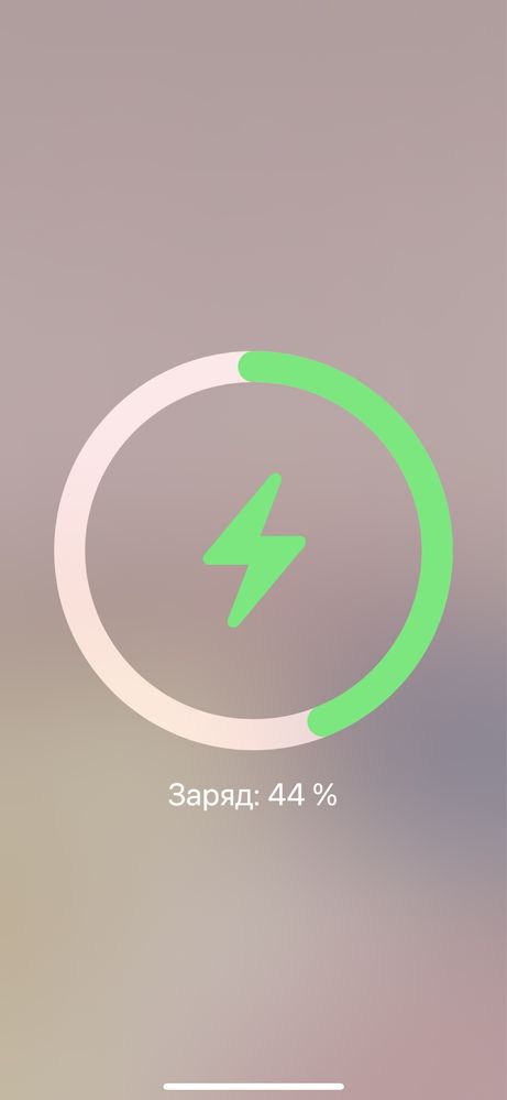 Зарядное устройство Apple MagSafe Charger